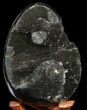 Septarian Dragon Egg Geode - Crystal Filled #40894-1